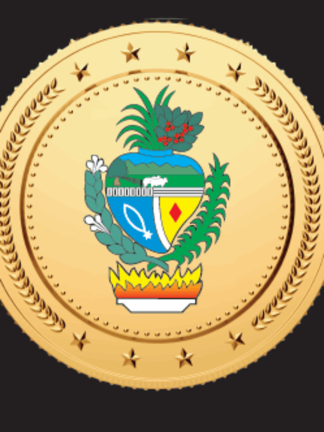 MEDALHA PEDRO LUDOVICO TEIXEIRA